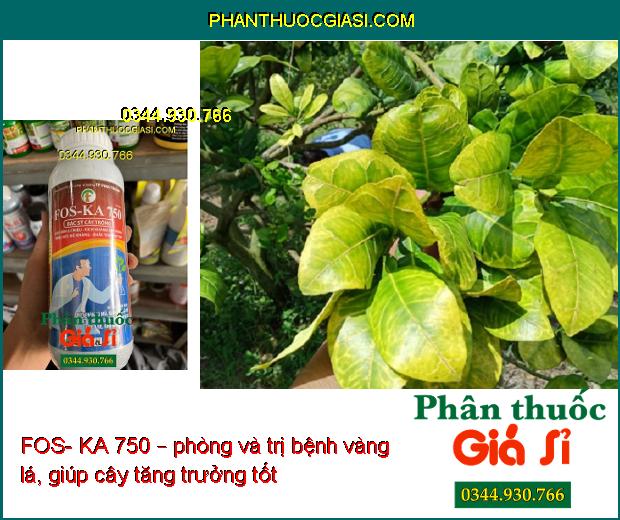 FOS- KA 750 – Đặc Trị Vàng Lá- Thối Rễ- Giúp Phát Triển Bộ Rễ