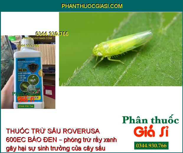 THUỐC TRỪ SÂU ROVERUSA 600EC BÁO ĐEN – Phòng Trừ Các Loại Sâu Rầy Gây Hại