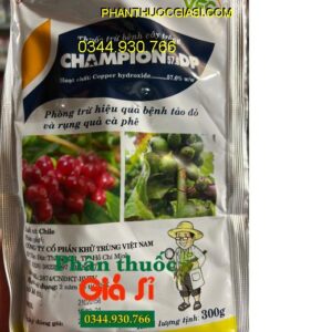 CHAMPION 57.6DP- Phòng Trừ Hiệu Quả Bệnh Tảo Đỏ - Rụng Quả Cà Phê