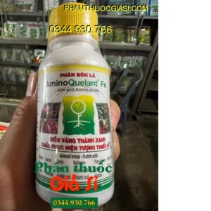 PHÂN BÓN LÁ CAO CẤP – AMINO QUELANT FE – Bổ Sung Sắt - Khắc Phục Bệnh Vàng Lá 