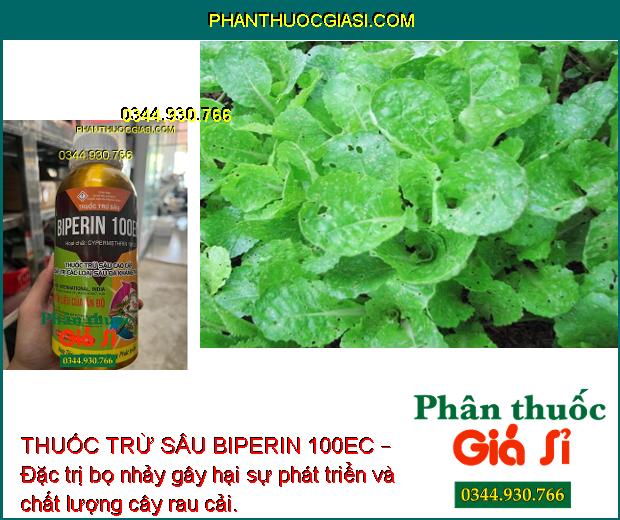 THUỐC TRỪ SÂU BIPERIN 100EC – Đặc Trị Các Loại Sâu Đã Kháng Thuốc 