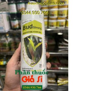 BUD STRONG VIDAN – Bung Chồi Nhanh - Lá Xanh Dày - Khích Trái Non Phát Triển