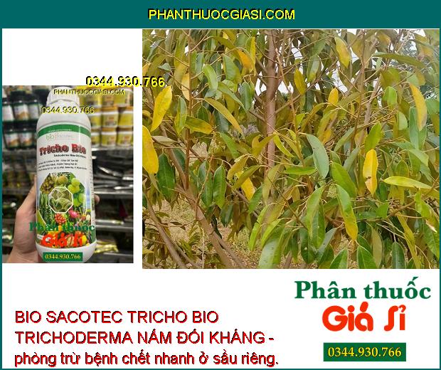 BIO SACOTEC TRICHO BIO TRICHODERMA NẤM ĐỐI KHÁNG - Cải Tạo Đất - Ngăn Ngừa Nấm Bệnh Và Tuyến Trùng Gây Hại