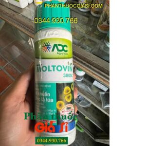 THUỐC TRỪ BỆNH MOLTOVIN 380SC – Đặc Trị Vi Khuẩn -  Bạc Lá Lúa