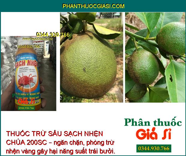 THUỐC TRỪ SÂU SẠCH NHỆN CHÚA 200SC – Đặc Trị Nhện Kháng Thuốc