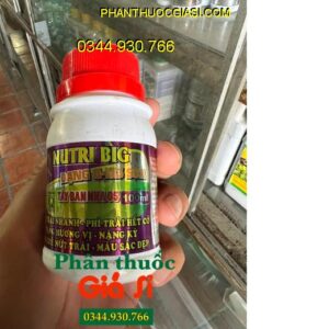 NUTRI BIG DẠNG GA3 SỮA TÂY BAN NHA 05 – Kéo Trái Nhanh - Nặng Ký - Hạn Chế Nứt Trái - Trái Bóng Đẹp