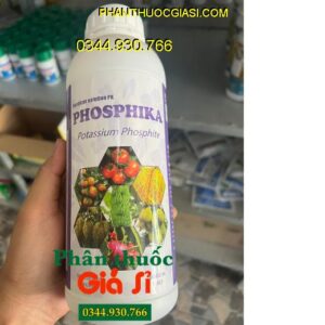 PHÂN BÓN HỖN HỢP PK PHOSPHIKA – Phòng Trừ Nứt Thân - Xì Mủ - Ngăn Ngừa Vàng Lá - Đốm Lá