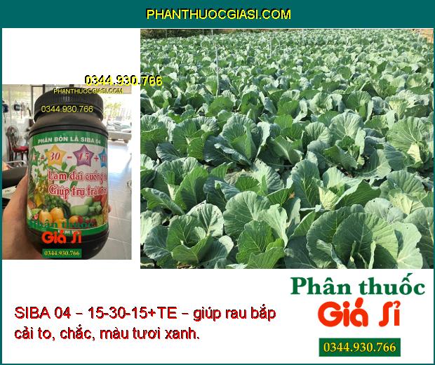 SIBA 04 – 15-30-15+TE – Làm Dai Cuống - Chống Rụng Trái Non