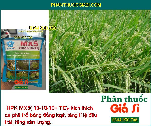  NPK MX5( 10-10-10+ TE)- Nuôi trái - Xanh Gai Dùng Cho Cây Sầu Riêng