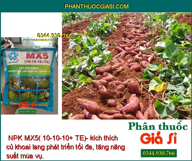  NPK MX5( 10-10-10+ TE)- Nuôi trái - Xanh Gai Dùng Cho Cây Sầu Riêng