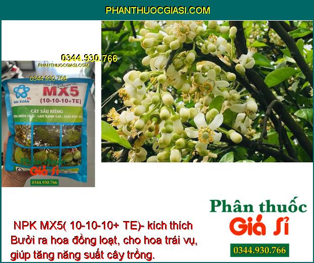  NPK MX5( 10-10-10+ TE)- Nuôi trái - Xanh Gai Dùng Cho Cây Sầu Riêng