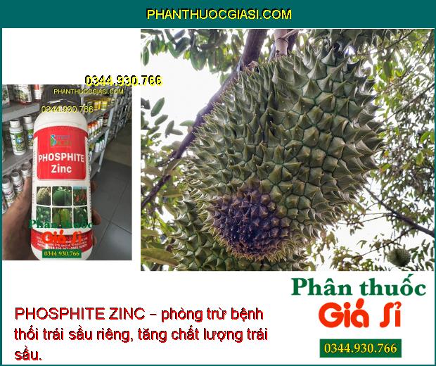 PHOSPHITE ZINC – Tăng Thụ Phấn- Tăng Đậu Trái