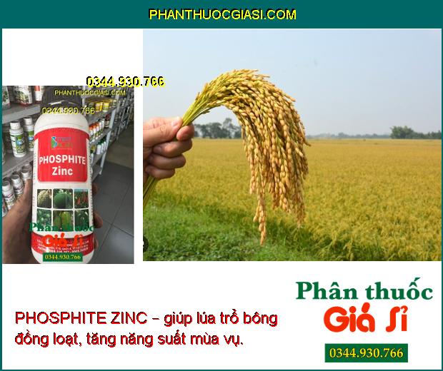 PHOSPHITE ZINC – Tăng Thụ Phấn- Tăng Đậu Trái