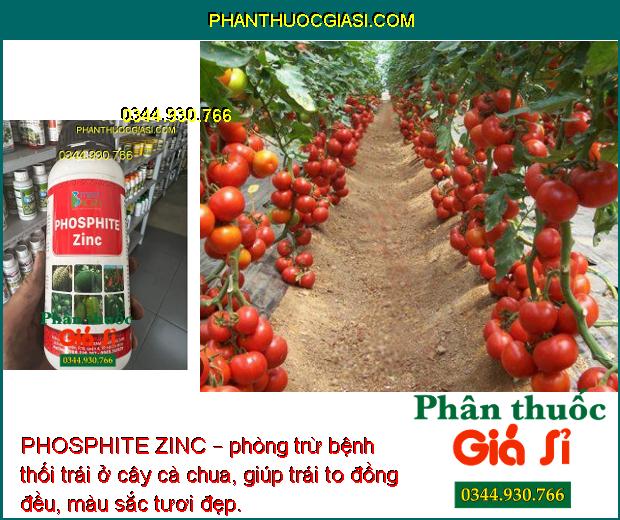 PHOSPHITE ZINC – Tăng Thụ Phấn- Tăng Đậu Trái