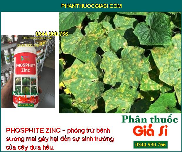 PHOSPHITE ZINC – Tăng Thụ Phấn- Tăng Đậu Trái