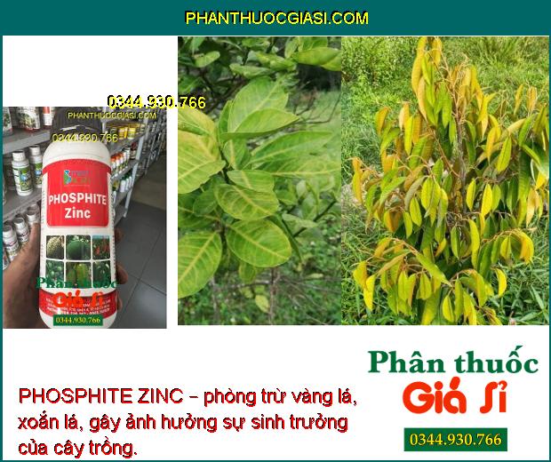 PHOSPHITE ZINC – Tăng Thụ Phấn- Tăng Đậu Trái