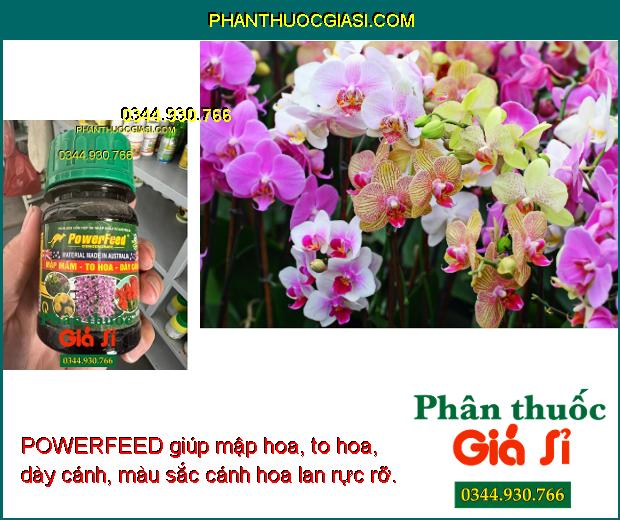 POWERFEED- Phân Bón Nhập Khẩu Úc Giúp Mập Mầm- To Hoa- Dày Cánh 