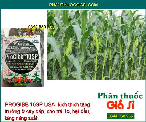 PROGIBB 10SP USA- Kích Thích Tăng Trưởng Cây Trồng