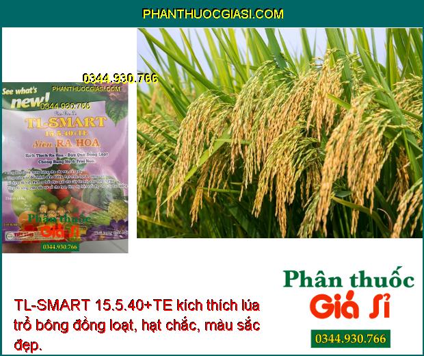 TL-SMART 15.5.40+TE Siêu Ra Hoa- Kích Thích Ra Hoa- Đậu Quả Đồng Loạt