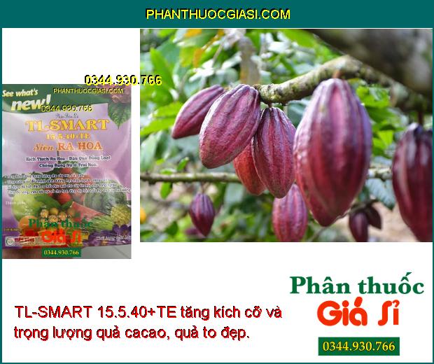 TL-SMART 15.5.40+TE Siêu Ra Hoa- Kích Thích Ra Hoa- Đậu Quả Đồng Loạt