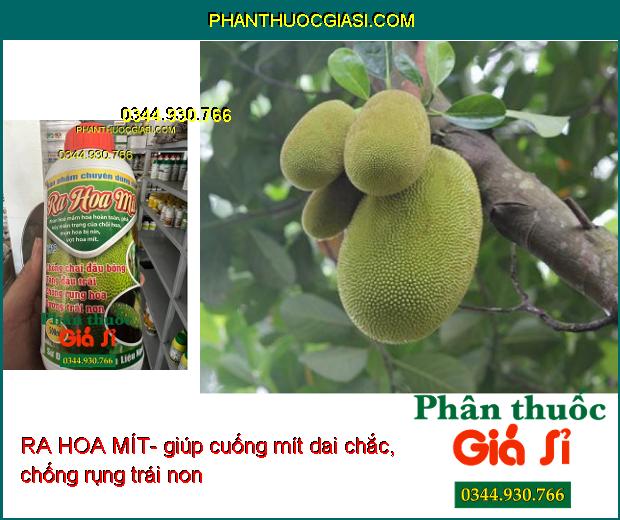 RA HOA MÍT- Chống Chai Đầu Bông- Tăng Đậu Trái- Dưỡng Trái Non