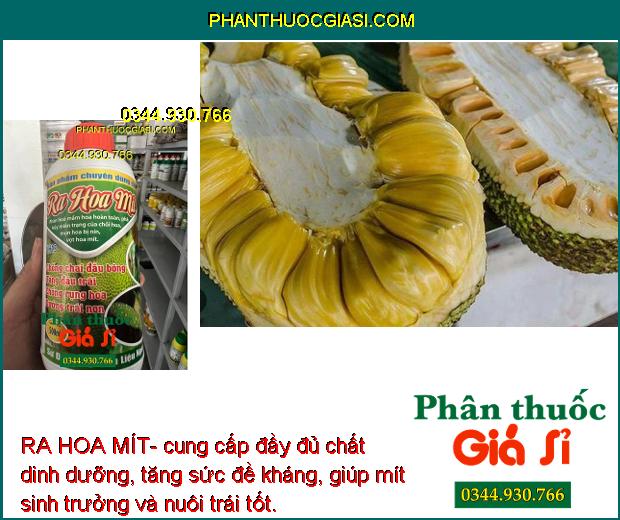 RA HOA MÍT- Chống Chai Đầu Bông- Tăng Đậu Trái- Dưỡng Trái Non