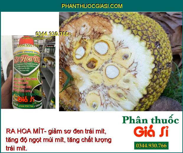 RA HOA MÍT- Chống Chai Đầu Bông- Tăng Đậu Trái- Dưỡng Trái Non