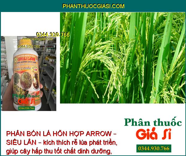 PHÂN BÓN LÁ HỖN HỢP ARROW – SIÊU LÂN – TẠO KHÁNG NỘI SINH – BẢO VỆ CÂY TRỒNG – LƯU DẪN 2 CHIỀU