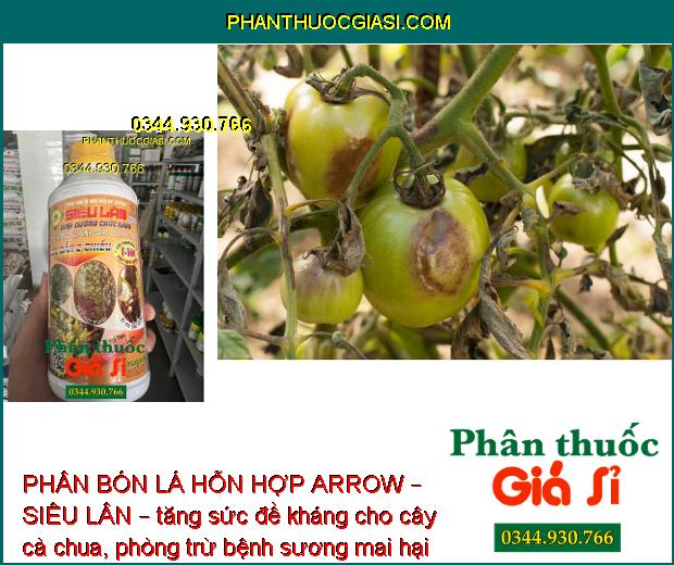 PHÂN BÓN LÁ HỖN HỢP ARROW – SIÊU LÂN – TẠO KHÁNG NỘI SINH – BẢO VỆ CÂY TRỒNG – LƯU DẪN 2 CHIỀU