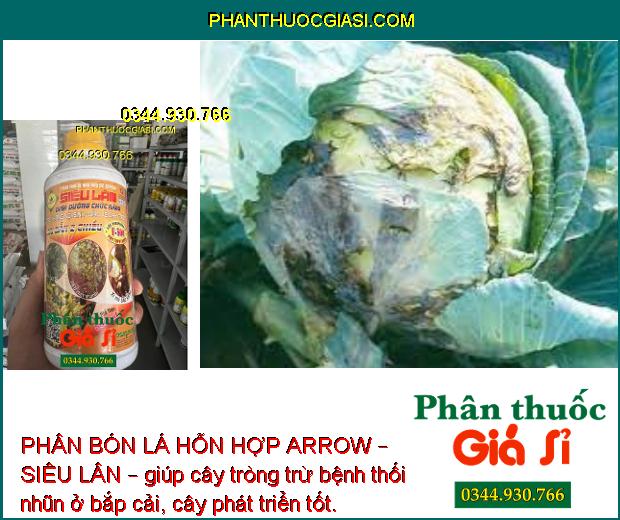 PHÂN BÓN LÁ HỖN HỢP ARROW – SIÊU LÂN – TẠO KHÁNG NỘI SINH – BẢO VỆ CÂY TRỒNG – LƯU DẪN 2 CHIỀU