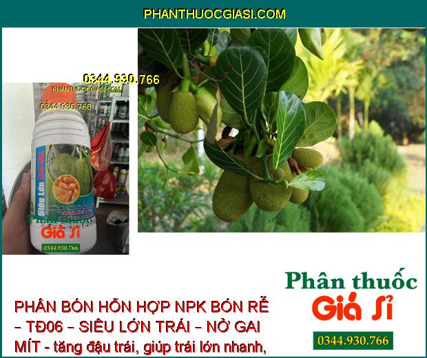 PHÂN BÓN HỖN HỢP NPK BÓN RỄ – TĐ06 – SIÊU LỚN TRÁI – NỞ GAI MÍT 