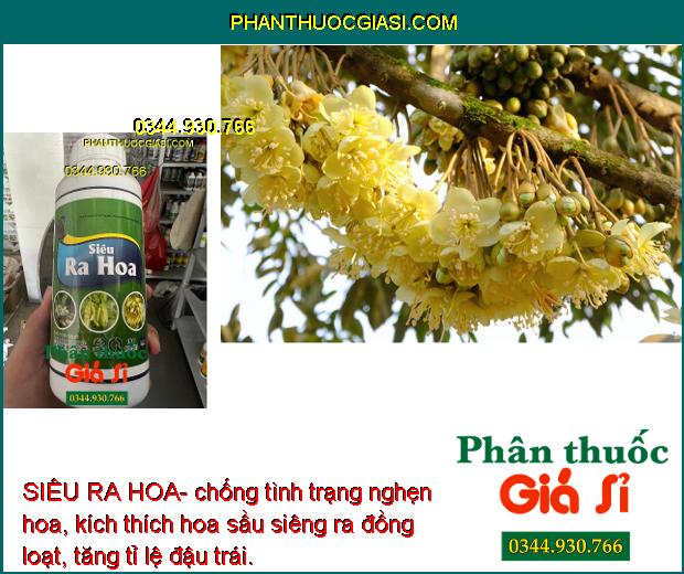 SIÊU RA HOA- Tạo Mầm Hoa- Chống Rụng Hoa- Trái Non