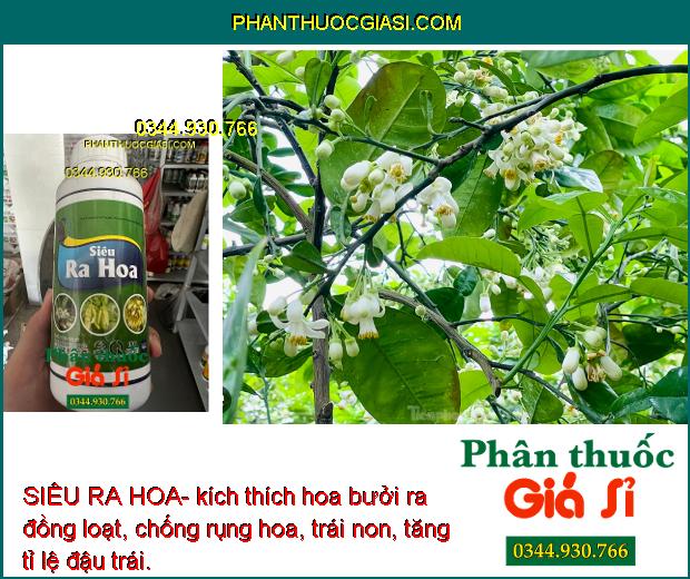 SIÊU RA HOA- Tạo Mầm Hoa- Chống Rụng Hoa- Trái Non