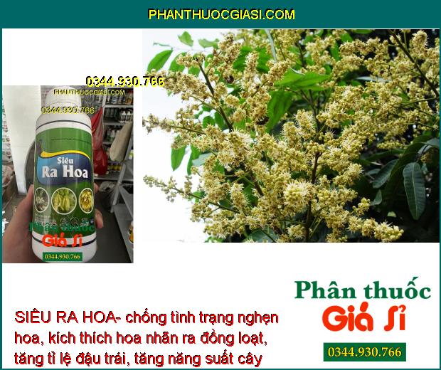 SIÊU RA HOA- Tạo Mầm Hoa- Chống Rụng Hoa- Trái Non