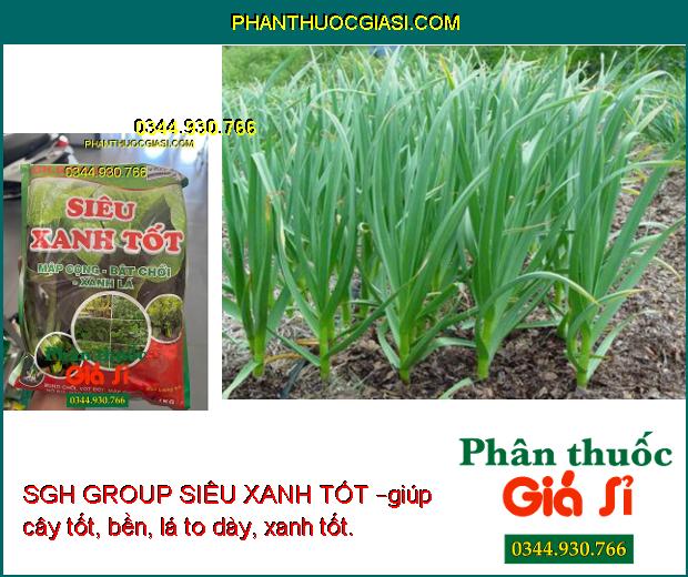 SGH GROUP SIÊU XANH TỐT – Mập Cọng- Bật Chồi- Xanh Lá