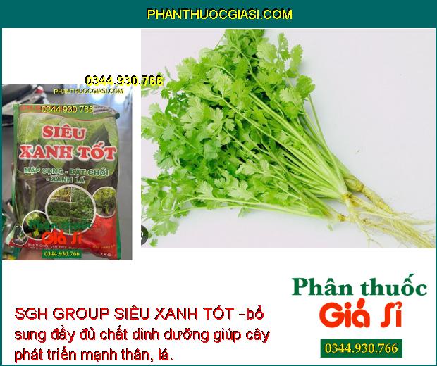 SGH GROUP SIÊU XANH TỐT – Mập Cọng- Bật Chồi- Xanh Lá