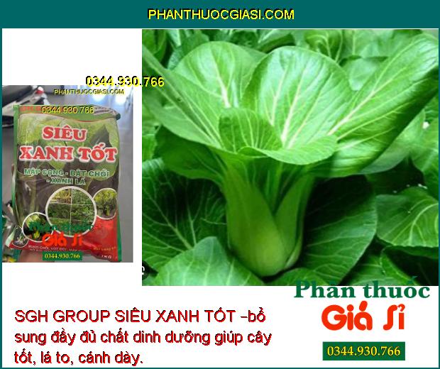 SGH GROUP SIÊU XANH TỐT – Mập Cọng- Bật Chồi- Xanh Lá