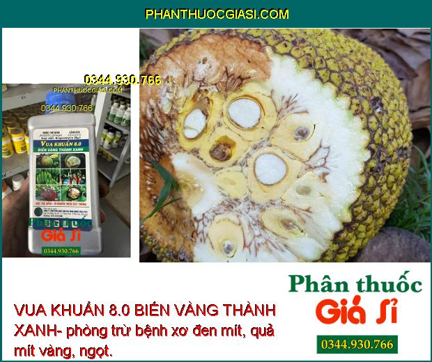 VUA KHUẨN 8.0 BIẾN VÀNG THÀNH XANH- Đặc Trị Nấm - Vi Khuẩn