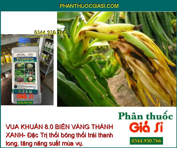 VUA KHUẨN 8.0 BIẾN VÀNG THÀNH XANH- Đặc Trị Nấm - Vi Khuẩn