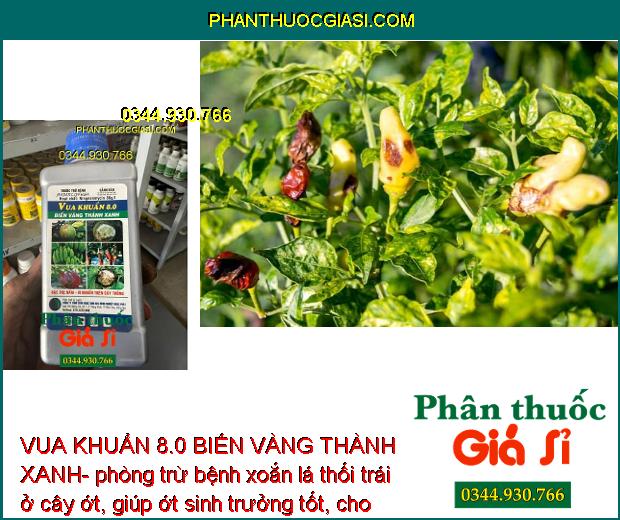 VUA KHUẨN 8.0 BIẾN VÀNG THÀNH XANH- Đặc Trị Nấm - Vi Khuẩn