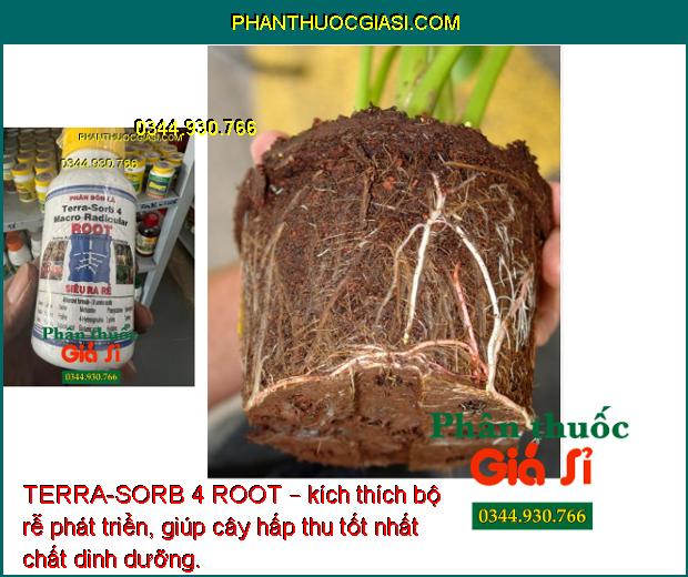 TERRA-SORB 4 ROOT – KÍCH THÍCH RA RỄ CỰC MẠNH