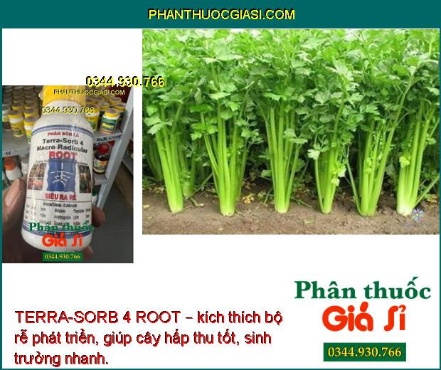 TERRA-SORB 4 ROOT – KÍCH THÍCH RA RỄ CỰC MẠNH