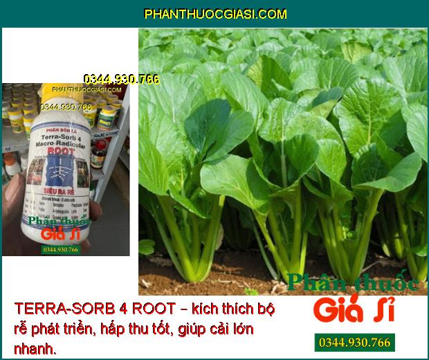 TERRA-SORB 4 ROOT – KÍCH THÍCH RA RỄ CỰC MẠNH