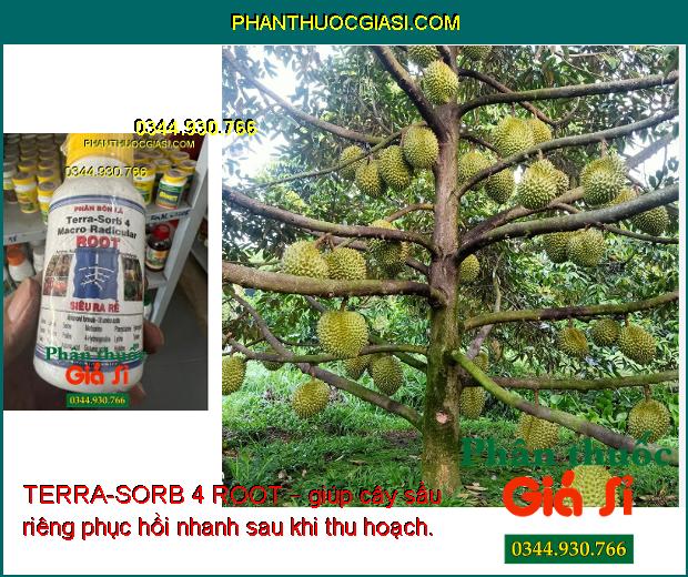 TERRA-SORB 4 ROOT – KÍCH THÍCH RA RỄ CỰC MẠNH