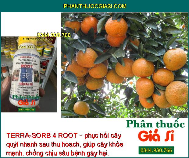 TERRA-SORB 4 ROOT – KÍCH THÍCH RA RỄ CỰC MẠNH