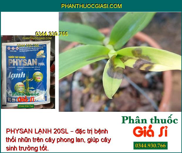 PHYSAN LẠNH 20SL – Tiêu Diệt Các Mầm Bệnh Gây Hại