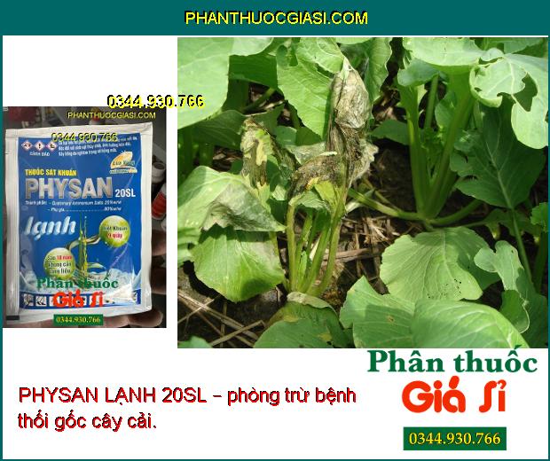 PHYSAN LẠNH 20SL – Tiêu Diệt Các Mầm Bệnh Gây Hại