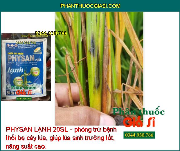 PHYSAN LẠNH 20SL – Tiêu Diệt Các Mầm Bệnh Gây Hại