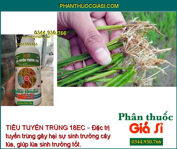 TIÊU TUYẾN TRÙNG 18EC – THUỐC SINH HỌC ĐẶC TRỊ TUYẾN TRÙNG CHO CÂY TRỒNG 