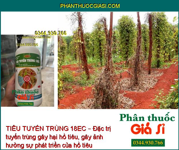 TIÊU TUYẾN TRÙNG 18EC – THUỐC SINH HỌC ĐẶC TRỊ TUYẾN TRÙNG CHO CÂY TRỒNG 